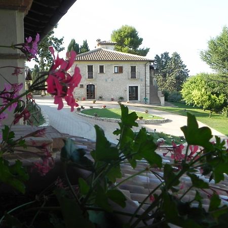 Tenuta Pizzogallo Amelia Exteriör bild