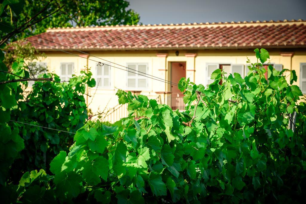Tenuta Pizzogallo Amelia Exteriör bild