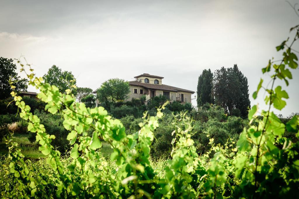 Tenuta Pizzogallo Amelia Exteriör bild