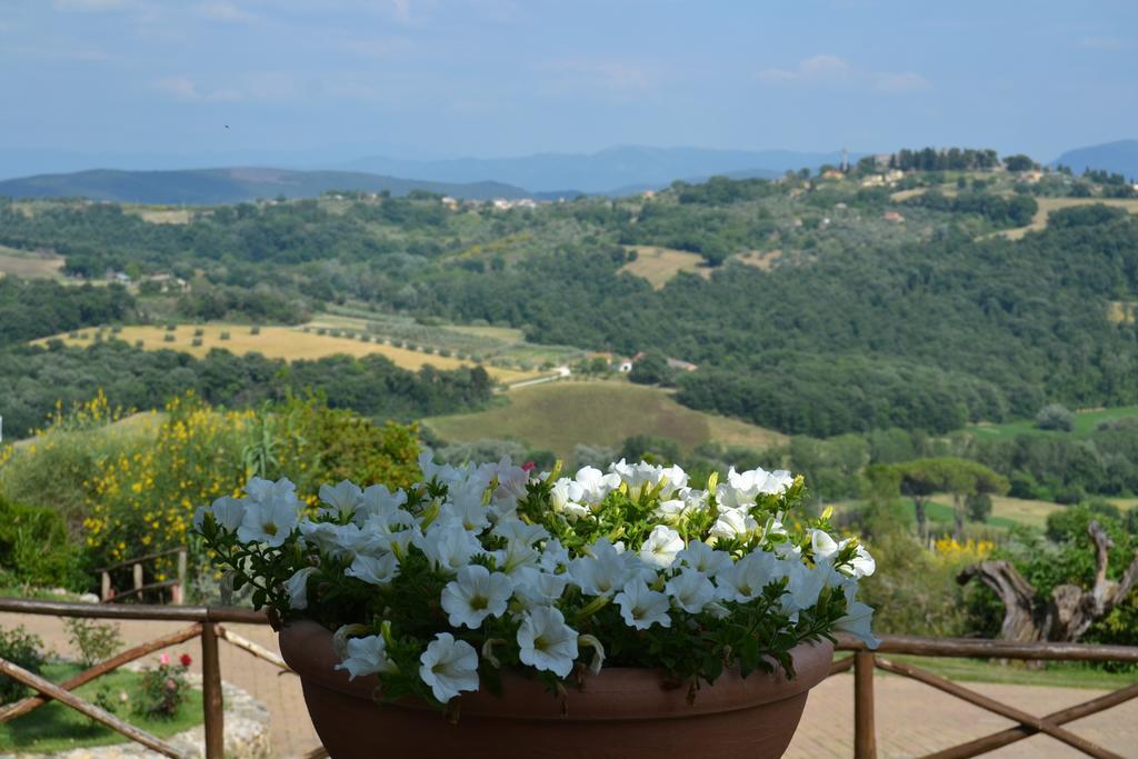 Tenuta Pizzogallo Amelia Exteriör bild