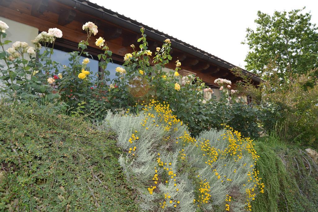 Tenuta Pizzogallo Amelia Exteriör bild