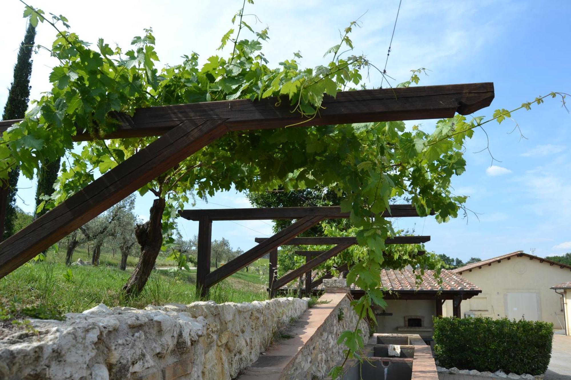 Tenuta Pizzogallo Amelia Exteriör bild