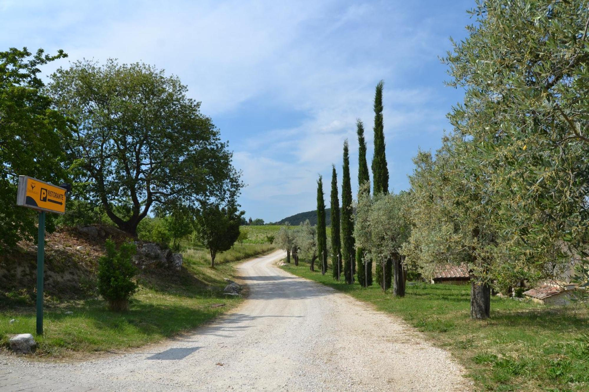 Tenuta Pizzogallo Amelia Exteriör bild