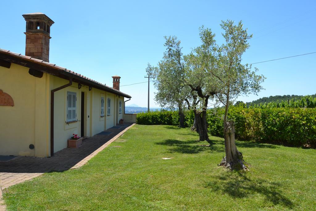 Tenuta Pizzogallo Amelia Exteriör bild