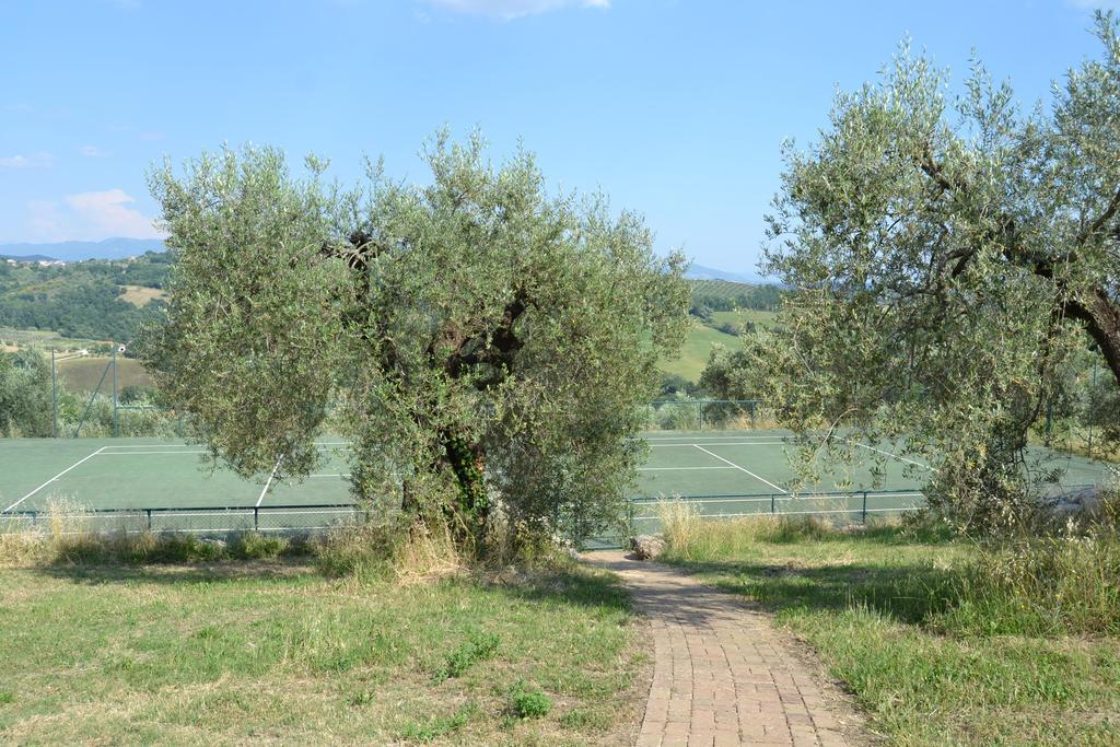 Tenuta Pizzogallo Amelia Exteriör bild