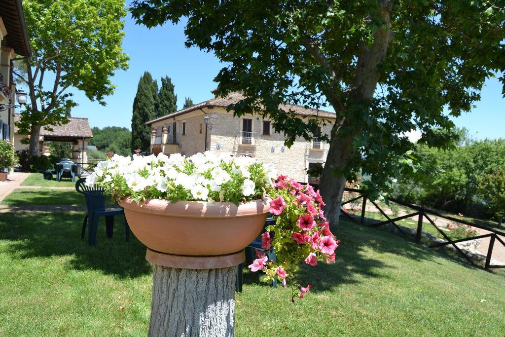 Tenuta Pizzogallo Amelia Exteriör bild